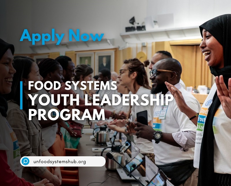 UN Food Systems Youth Leadership 2024 Program (Fully Funded)