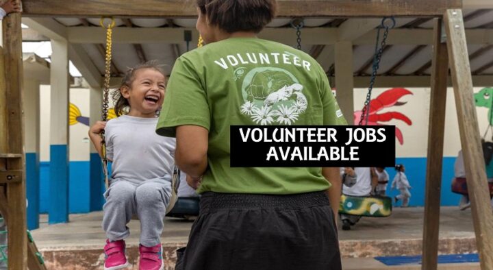 JOBS: Childcare Volunteers; Accounts Assistants; Filmmakers; Community Service Assistants; Graduate Management Trainees; ETC – Deadline: March 2024